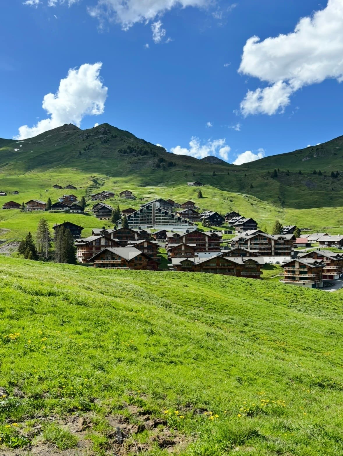 Wooden chalets nestled on a lush green mountain slope under a bright blue sky.