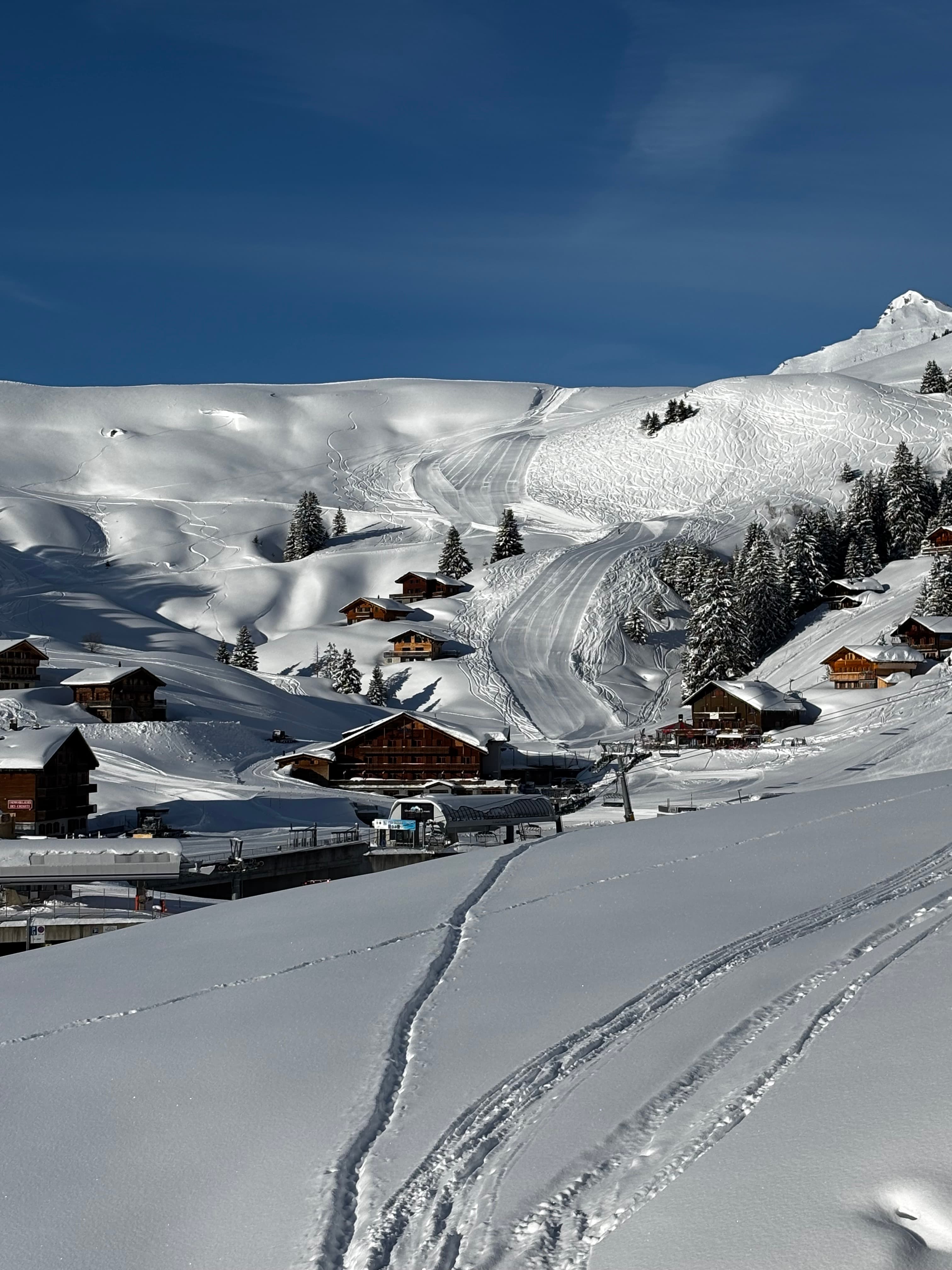 Wooden chalets nestled on snowy mountain slopes with ski tracks under a clear blue sky.
